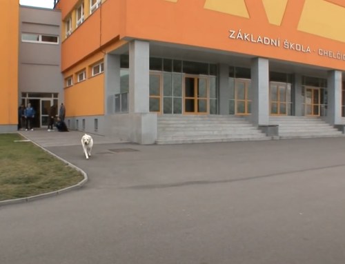 Goalballová reportáž